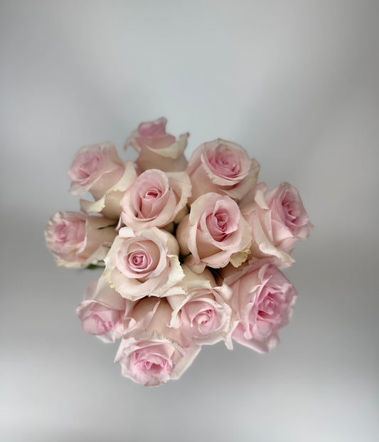 Light Pink Rose Box