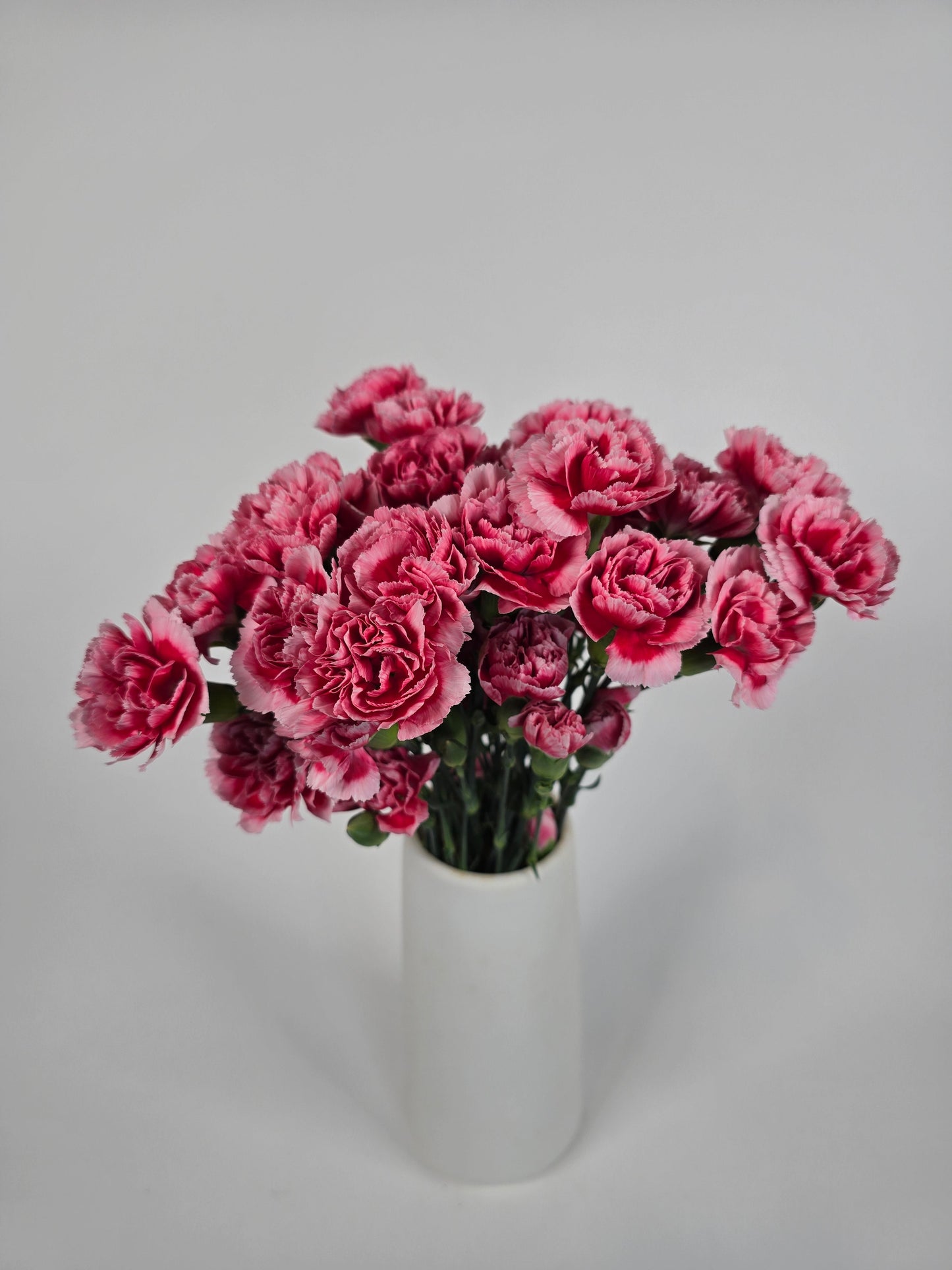Watermelon Candy Spray Mini Carnations