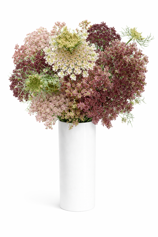 Burgundy Lace Flowers