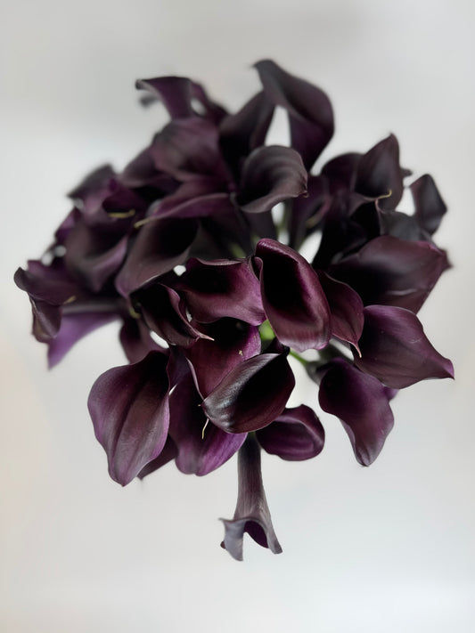 Burgundy Mini Calla Lily