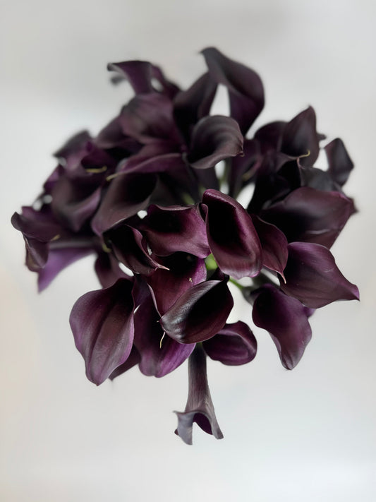 Burgundy Mini Calla Lily