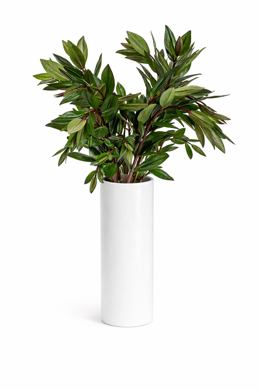 Hebe Greenery