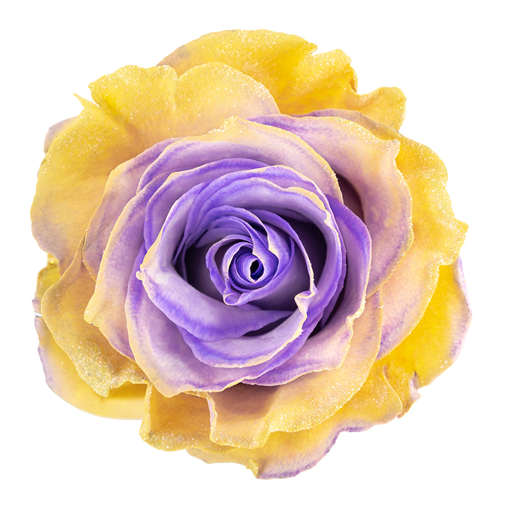 Honey Lavender Glitter Tinted Roses