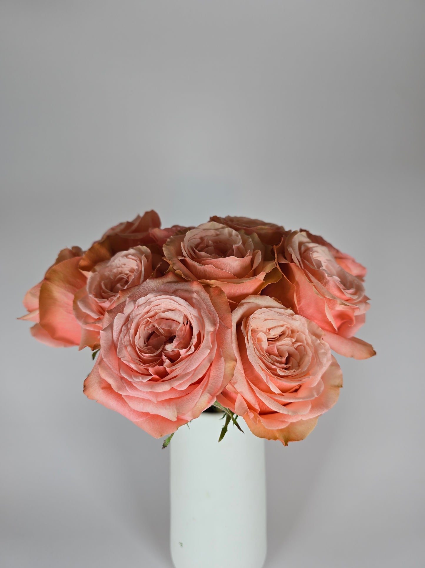 Kahala Peach Rose