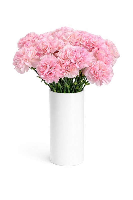 Light Pink Carnations