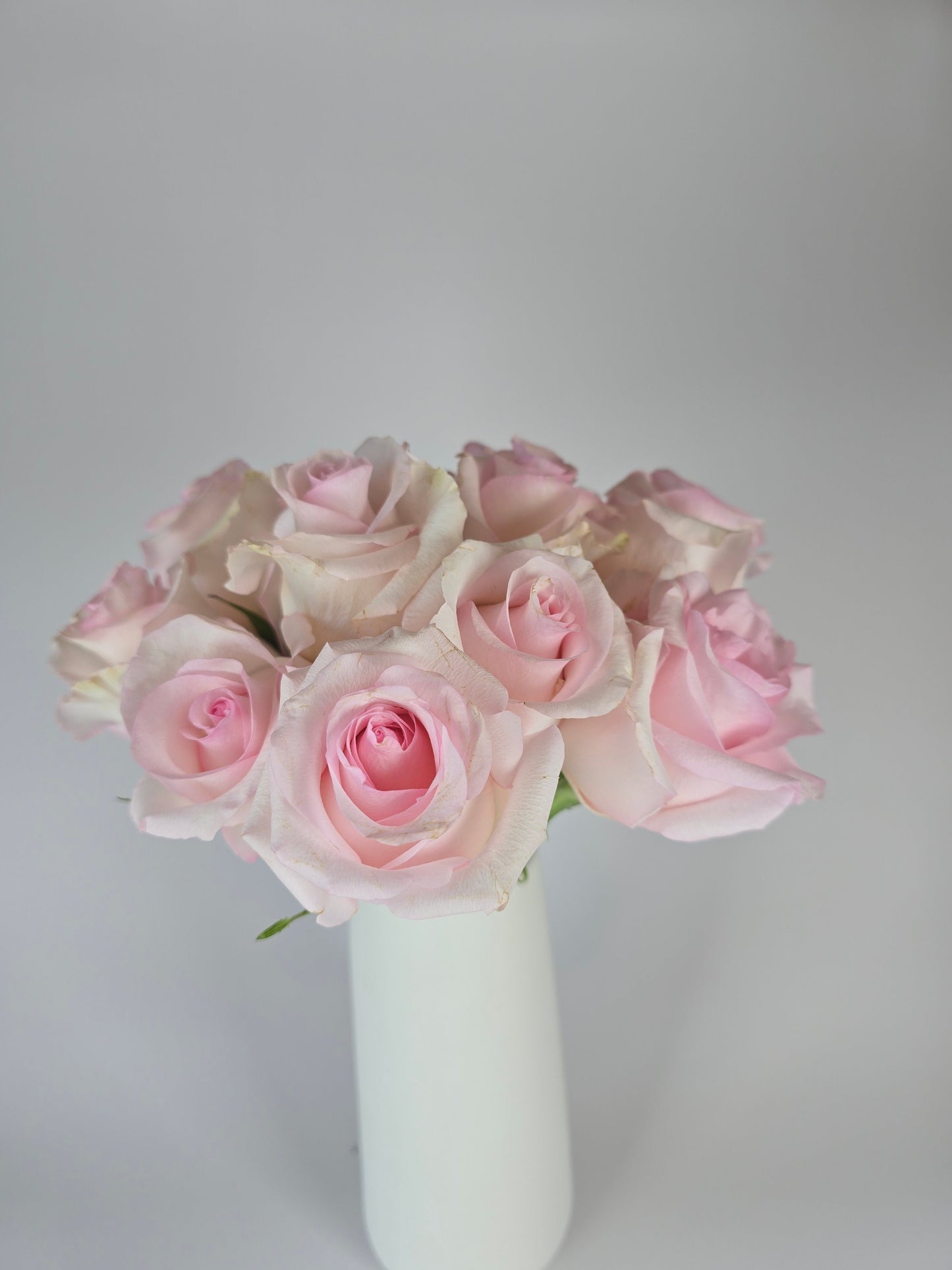 Light Pink Rose Box