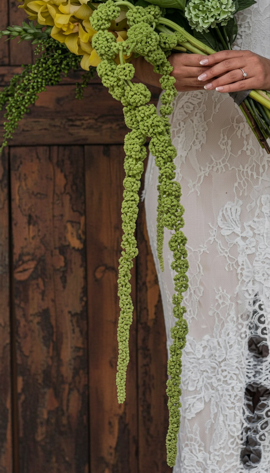 Green Hanging Amaranthus