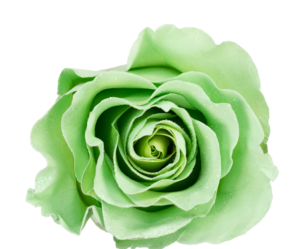 Matcha Glitter Tinted Roses