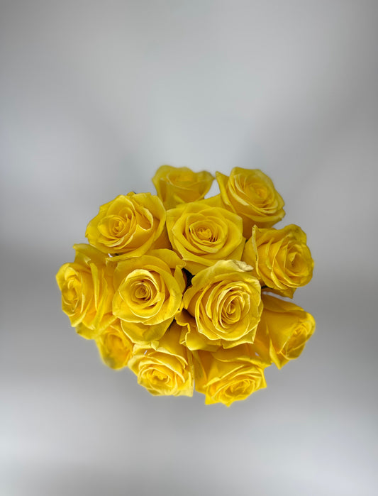 Momentum Yellow Rose