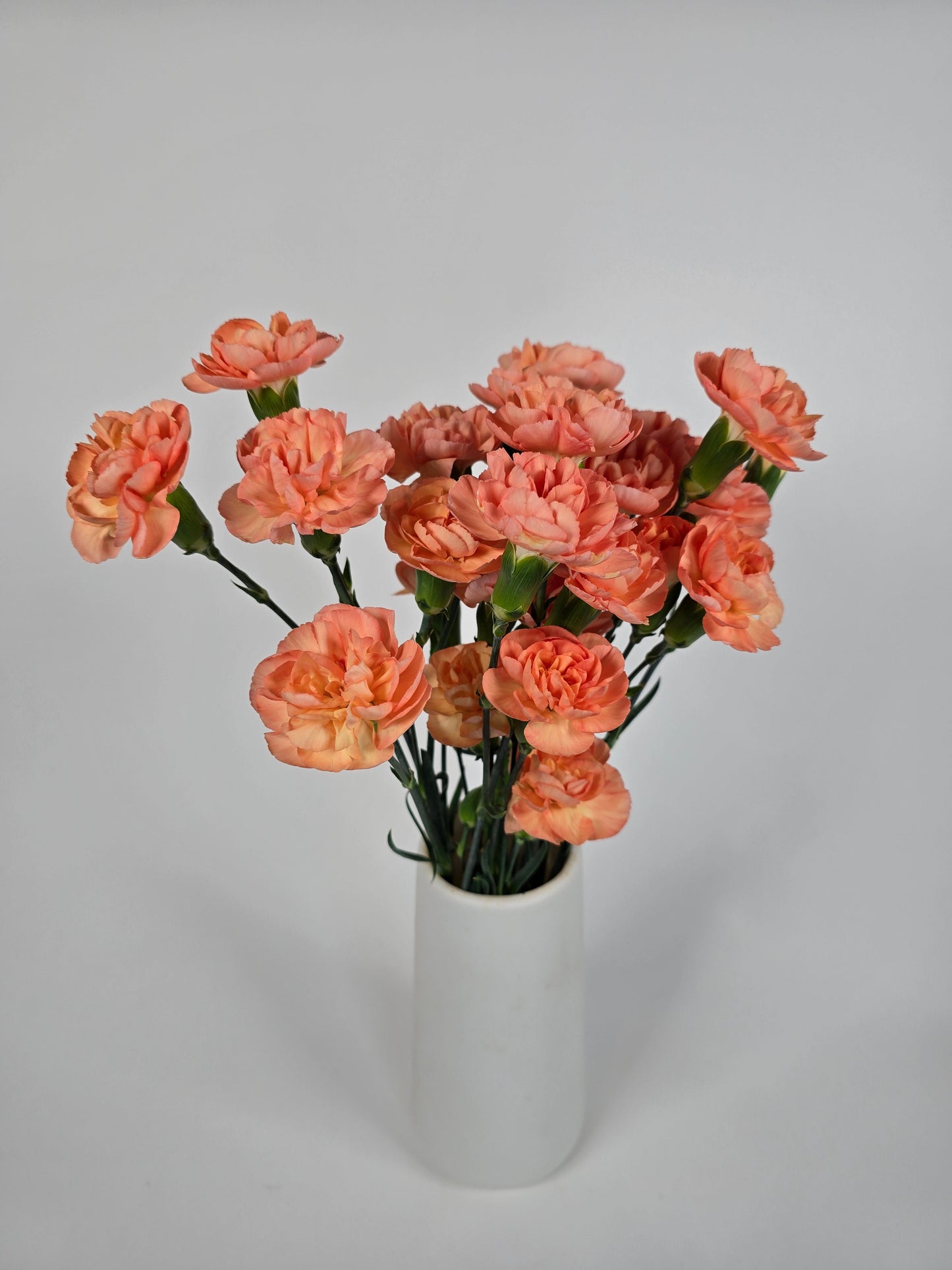 Orange Spray Mini Carnations