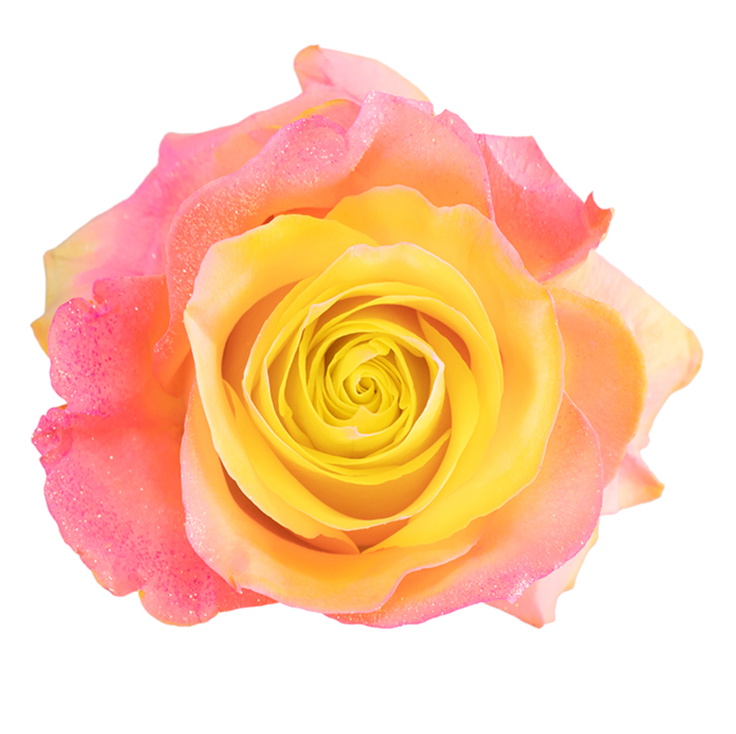 Pink Lemonade Glitter Tinted Roses