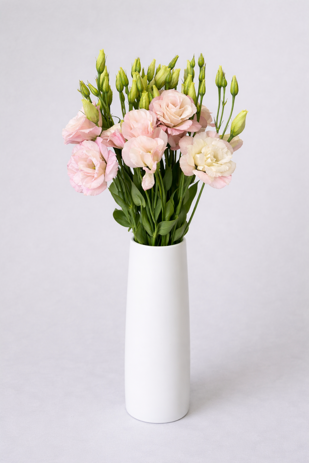 Pink Lisianthus
