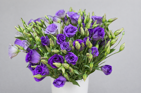 Purple Lisianthus
