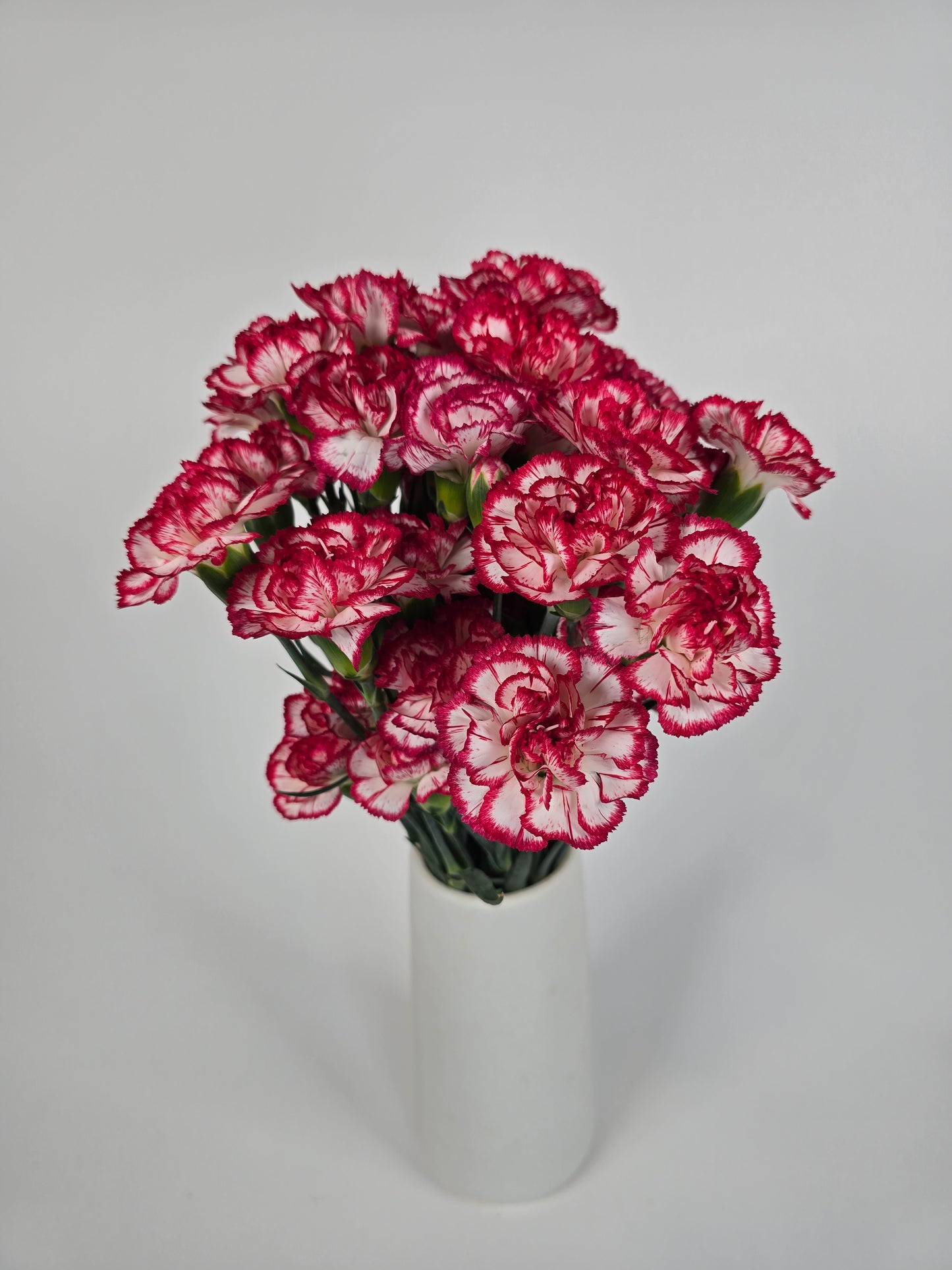 Red and White Mini Spray Carnations