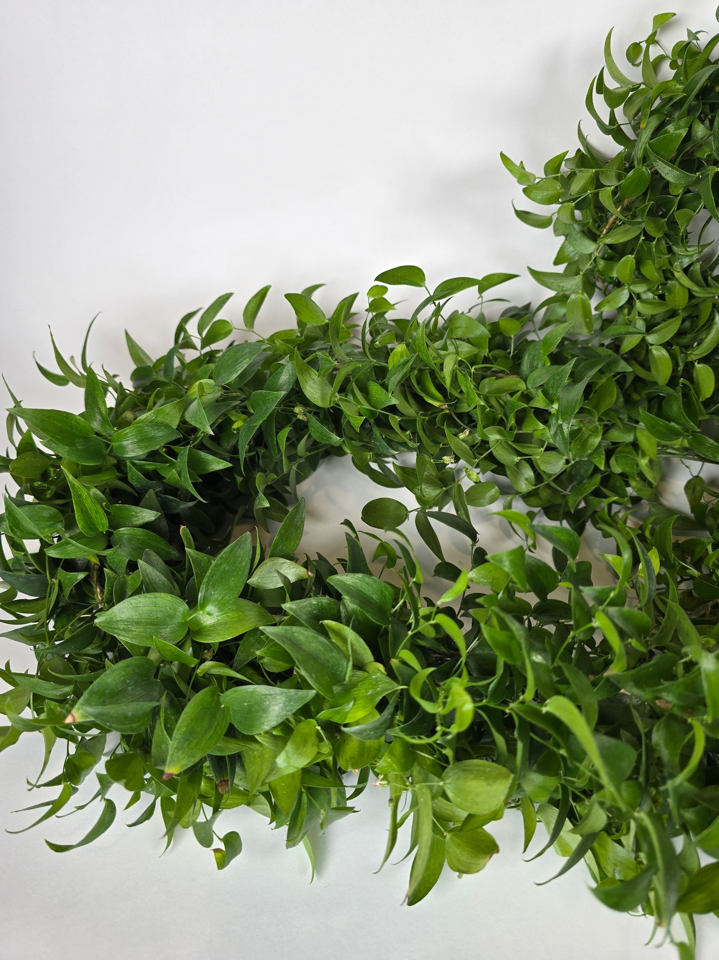 Smilax Garlands