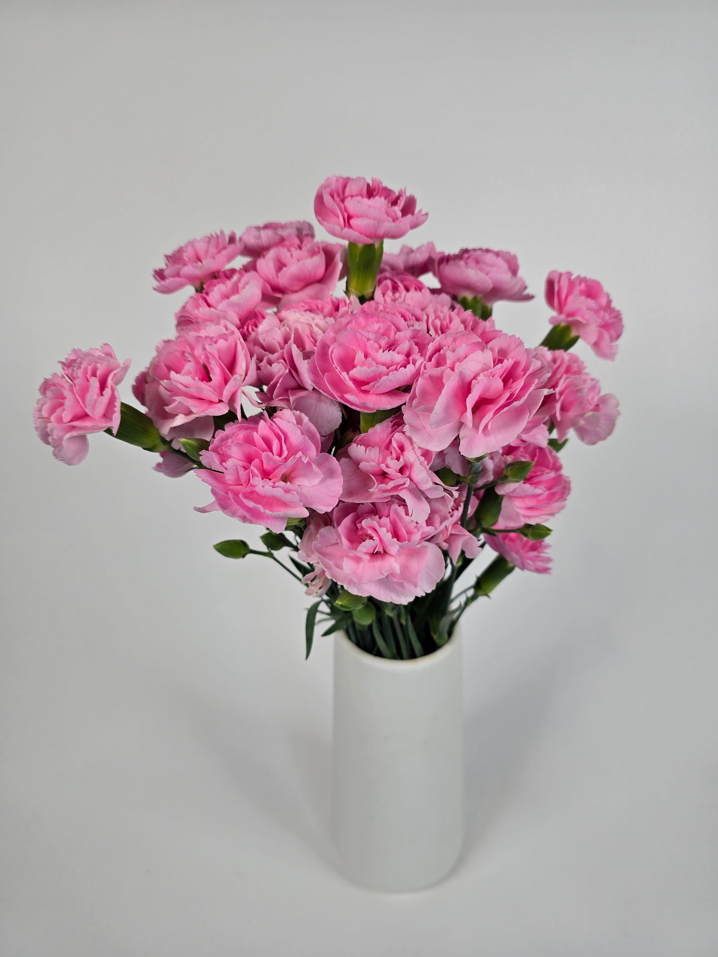 Soft Pink Spray Carnations