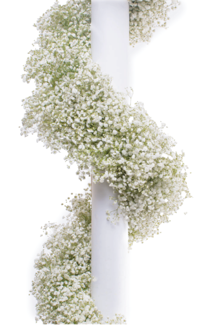 White Baby's Breath Garland