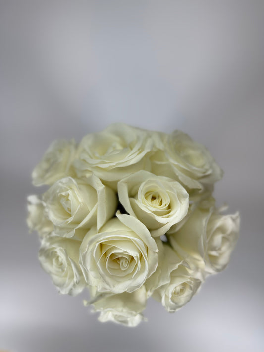 White Rose Box