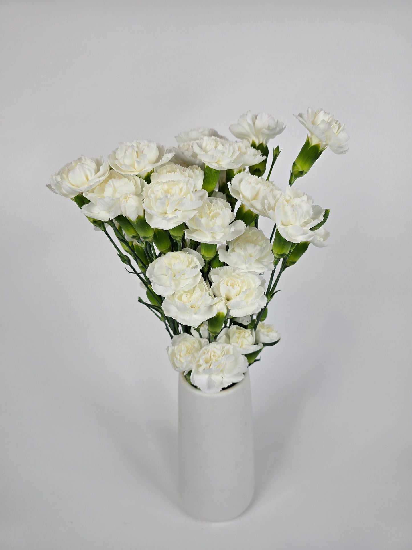 White Spray Carnations