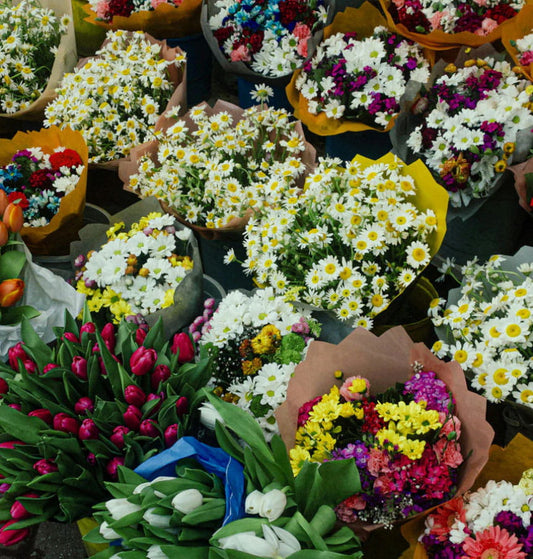 Buying Wholesale Flowers Online? Read This Before You Waste Money on the Wrong Supplier