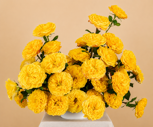 Do Flowers Need Refrigeration? Freshness Rules