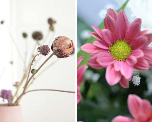 Fresh vs. Dried Flowers: The Better Choice for Events, Businesses & Everyday Beauty