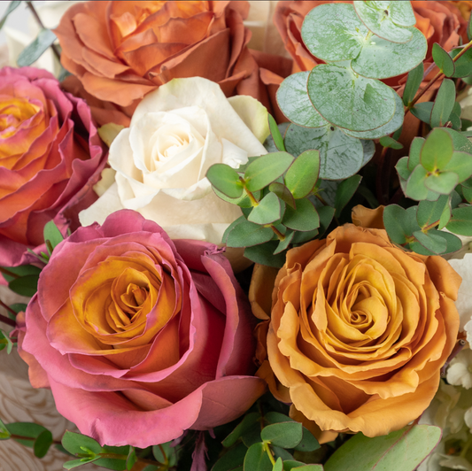 12 Best Roses for Wedding Arches, by Style