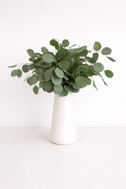 Silver Dollar Eucalyptus Greenery