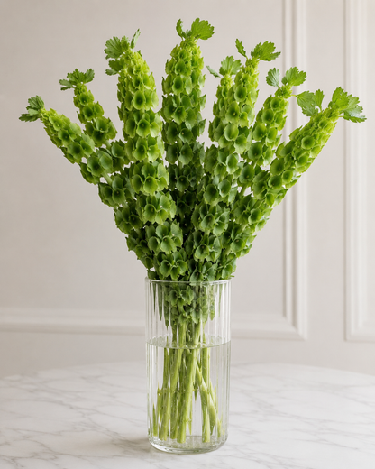 Make your own Flower Bar Combo box