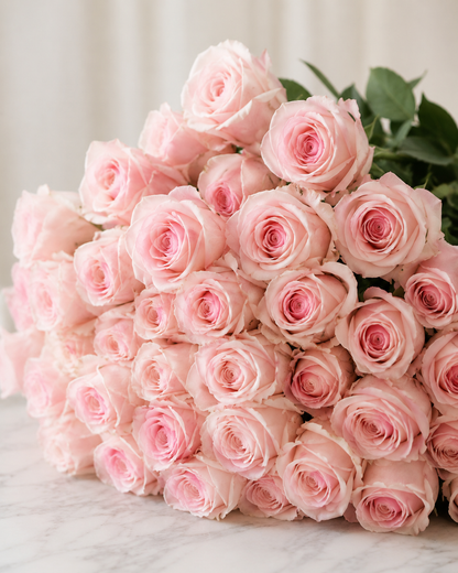 Light Pink Rose Box