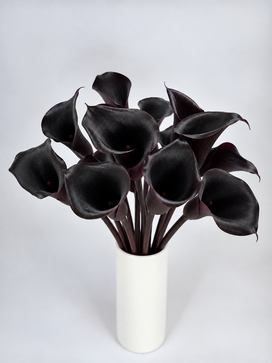 Burgundy Mini Calla Lily