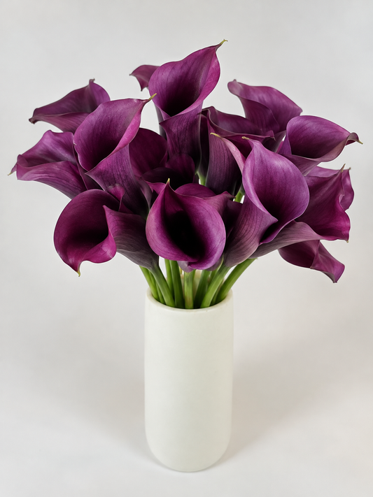 Purple Mini Calla Lily