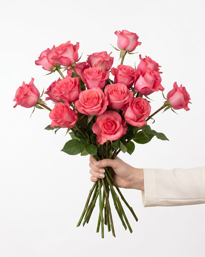 Pink Love Rose