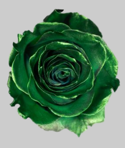 Emerald Green Metallic Tinted Roses