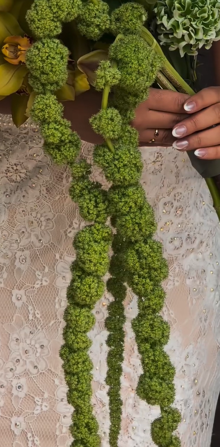 Green Hanging Amaranthus