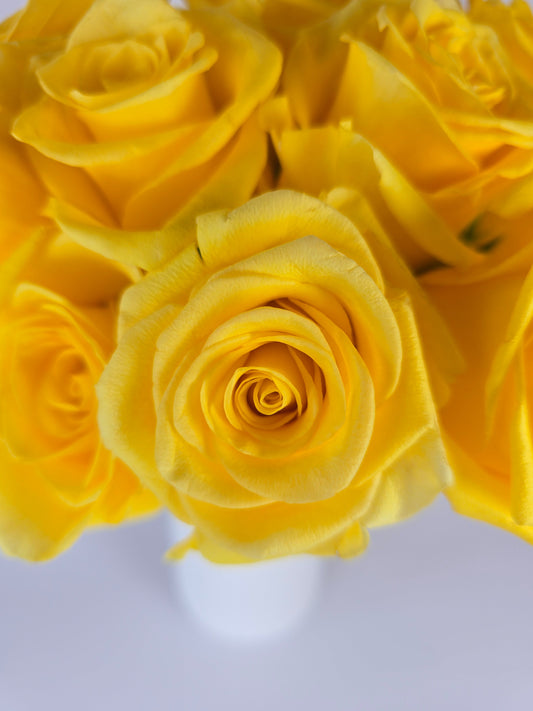 Momentum Yellow Rose