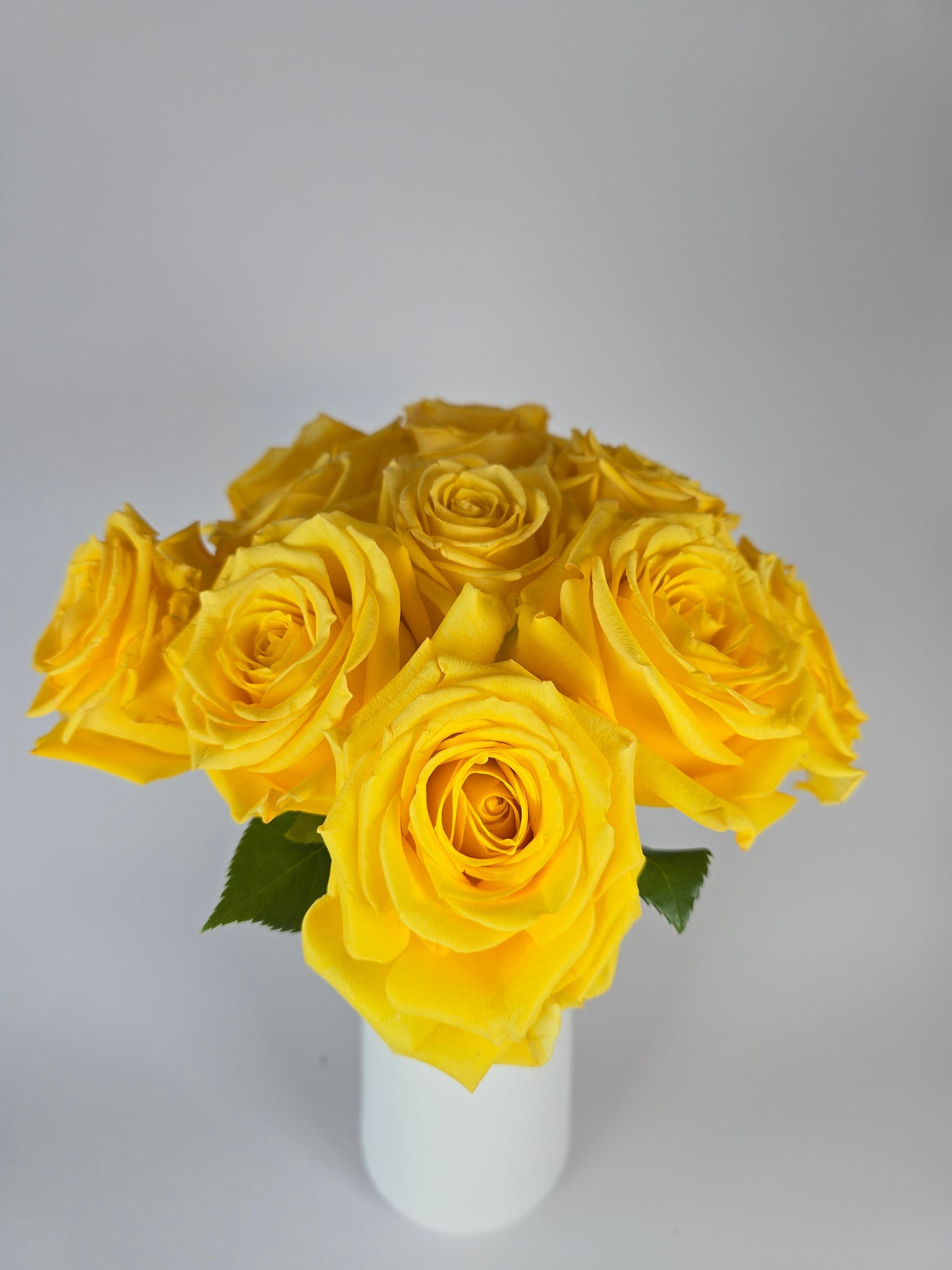 Super Sun Yellow Rose