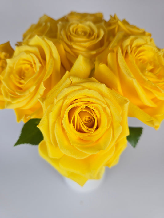 Super Sun Yellow Rose