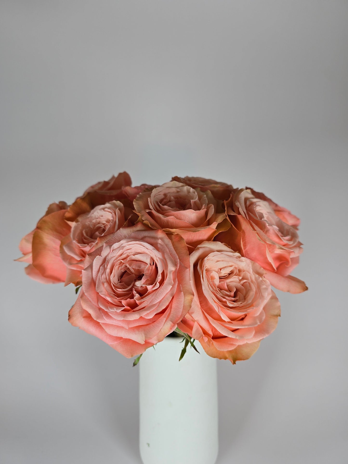 Kahala Peach Rose