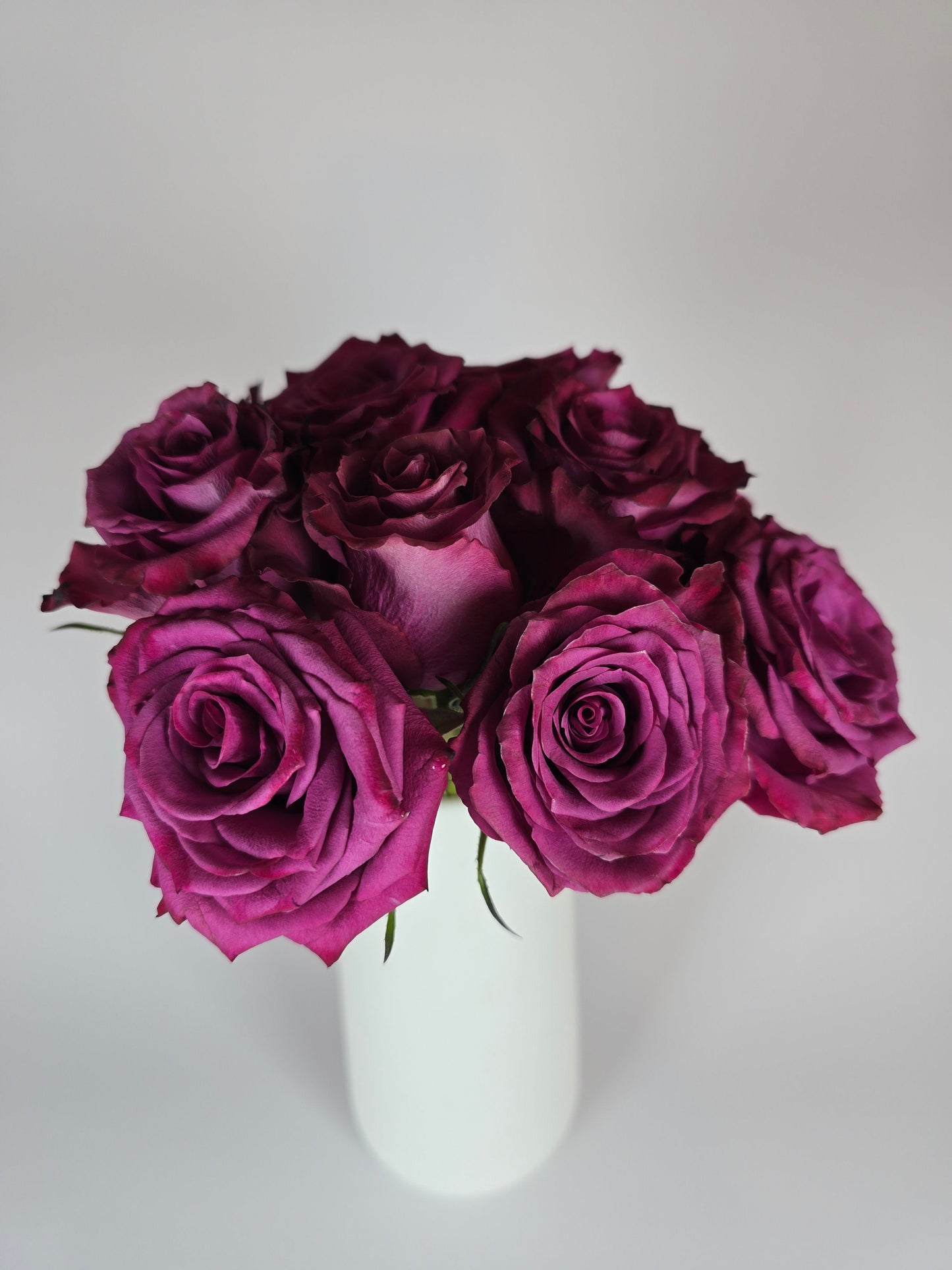 Blueberry Purple Rose