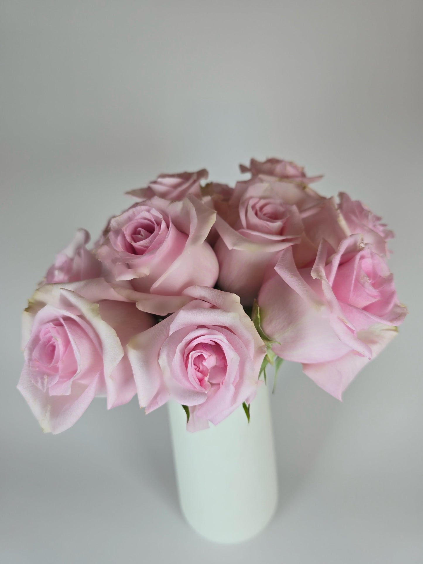 Jessika Light Pink Rose