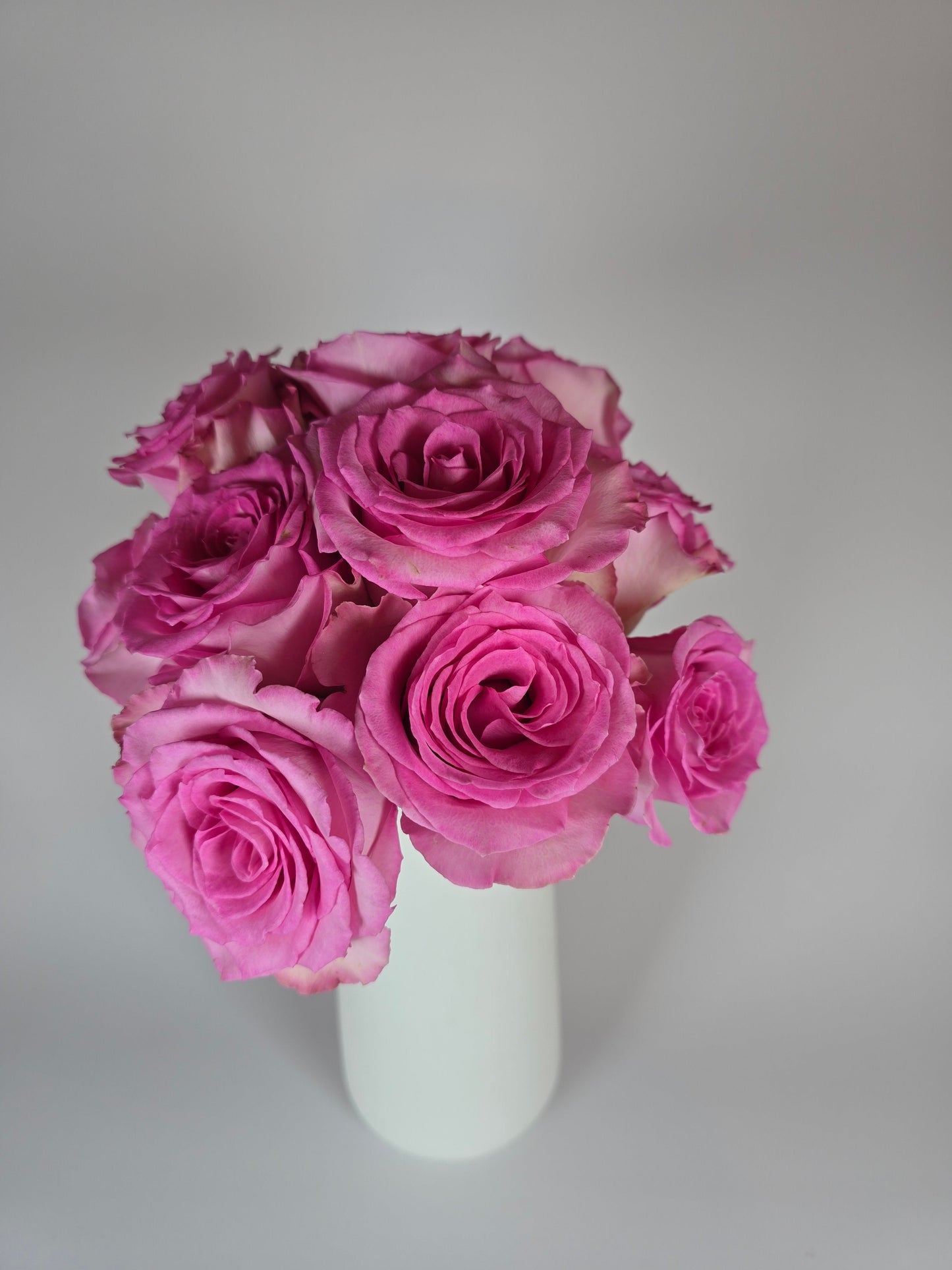 Sweet Unique Pink Rose