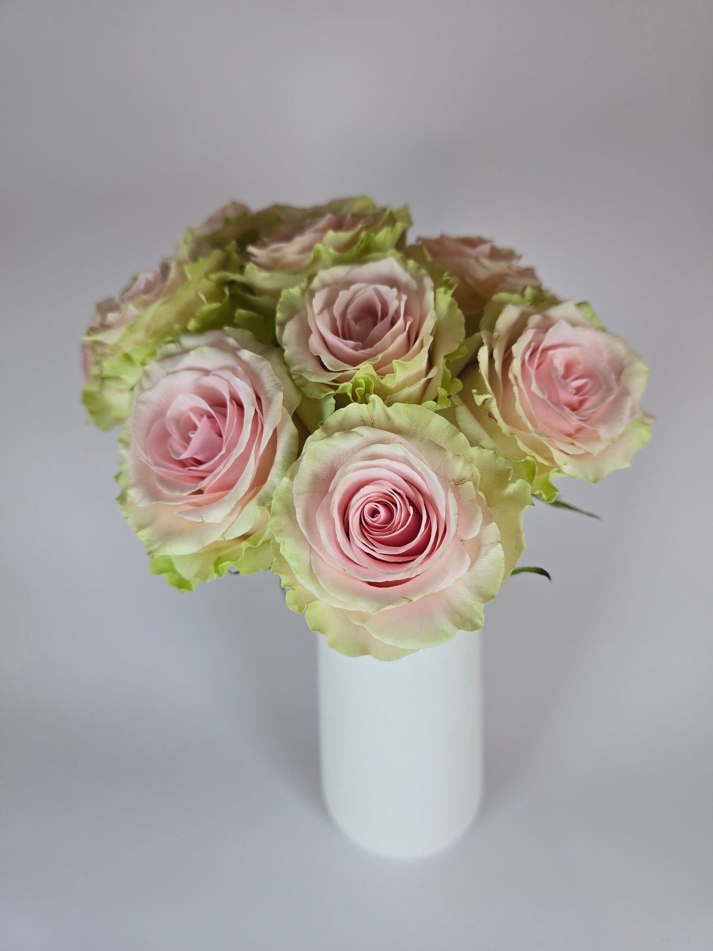 Frutteto Light Pink Rose