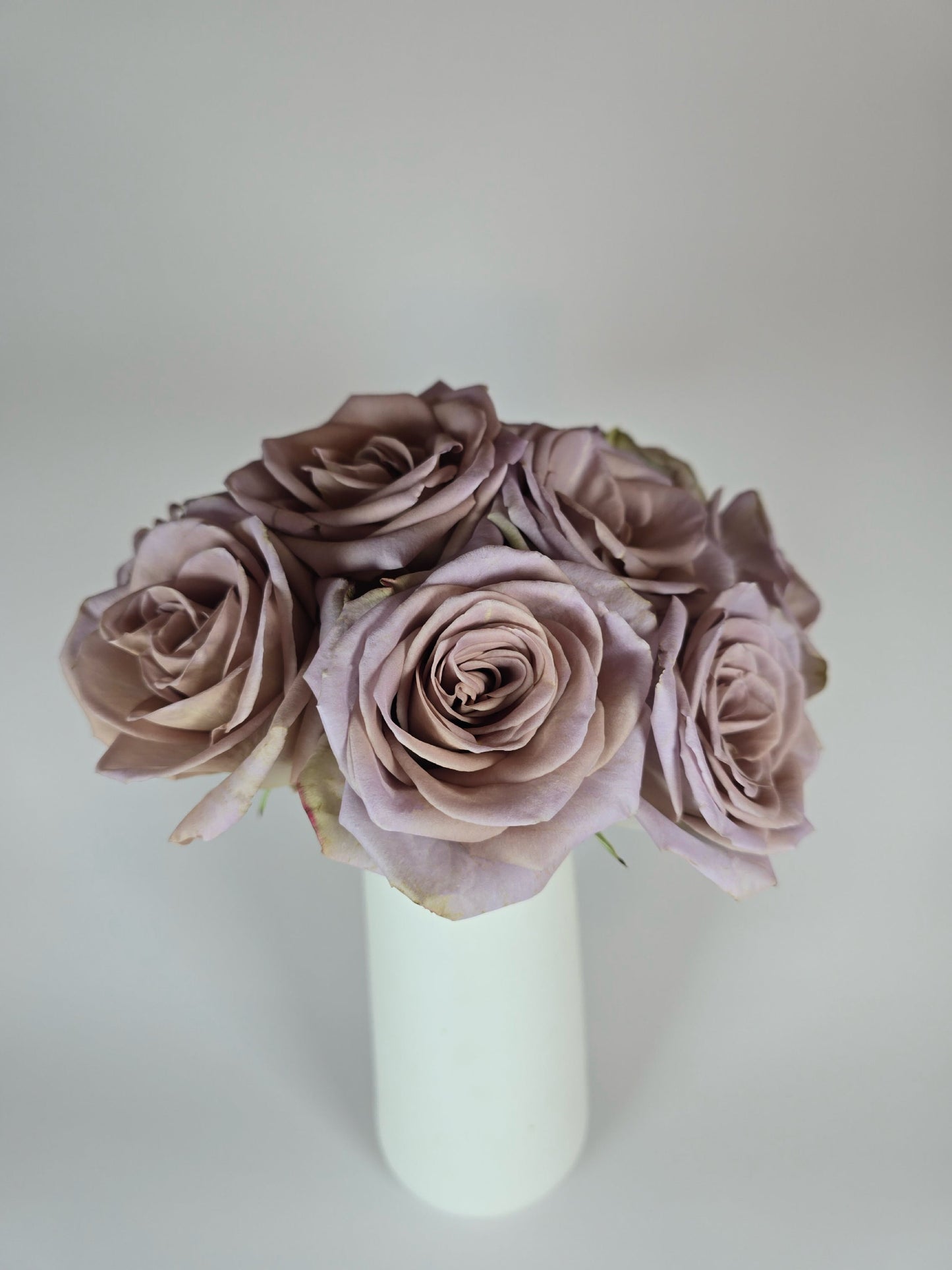 Amnesia Lavender Rose