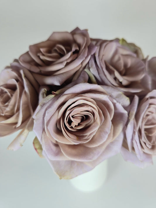 Amnesia Lavender Rose