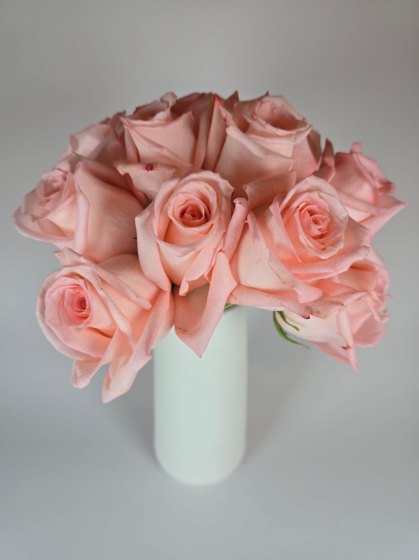 Engagement Light Pink Rose