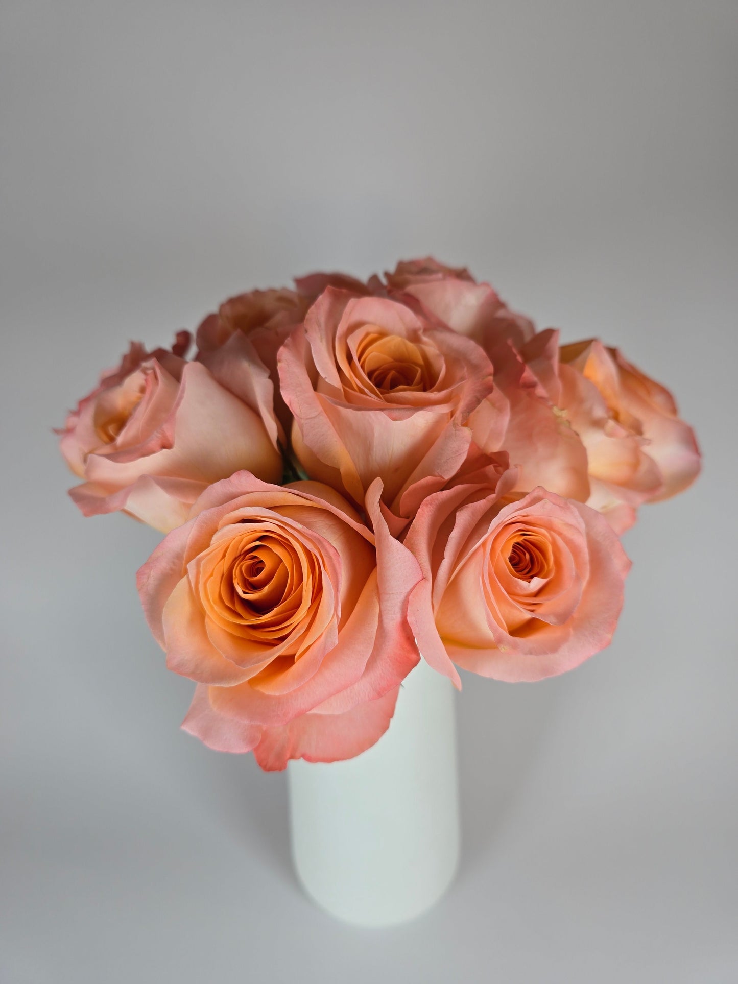 Coral Reef Rose