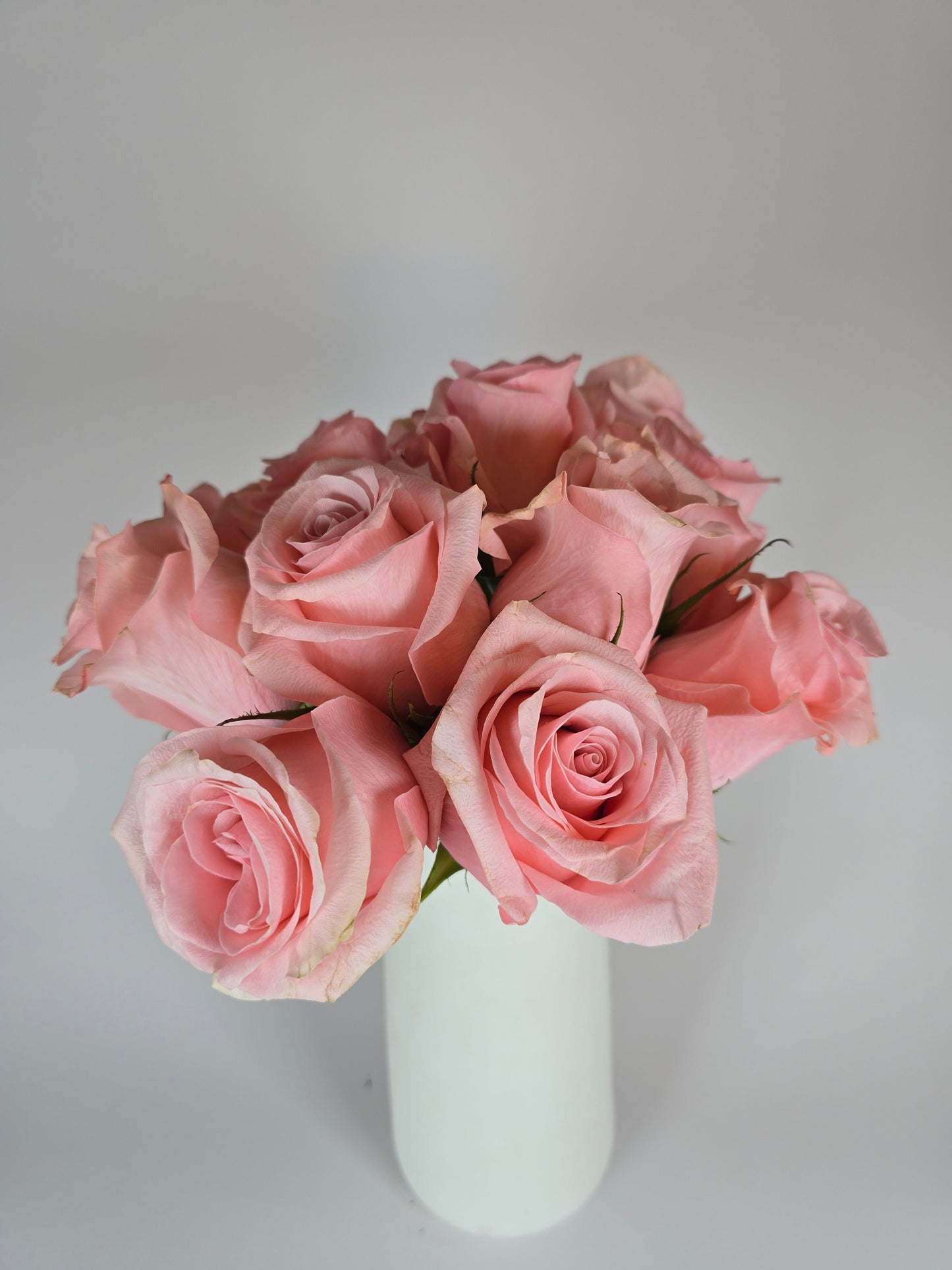 Be Sweet Light Pink Rose