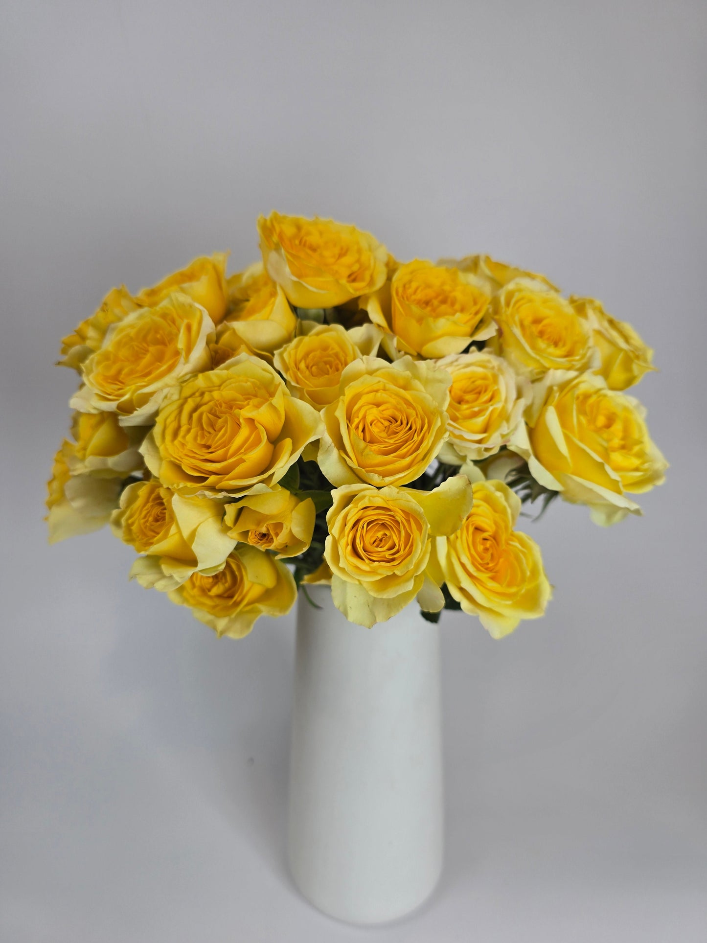 Yellow Spray Rose