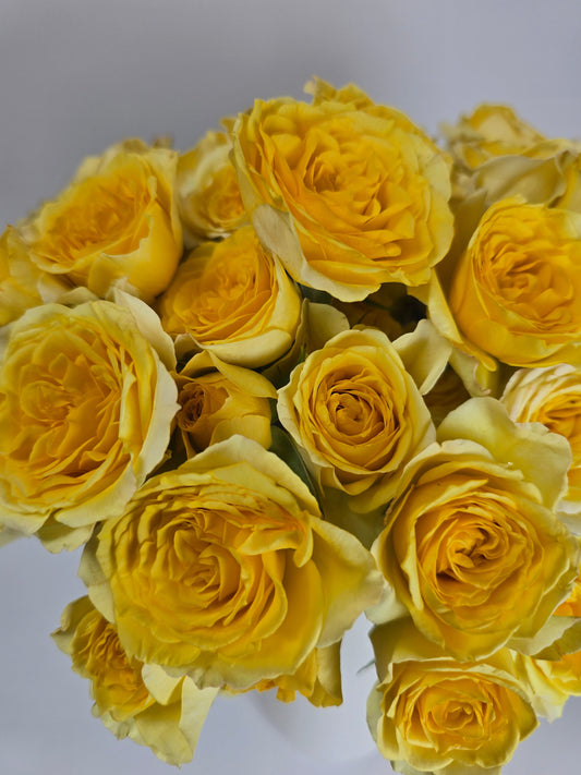 Yellow Spray Rose